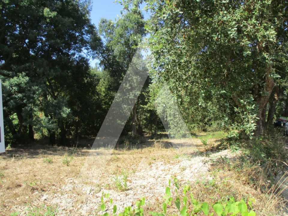 Terreno para Venda em Oiã Foto 3