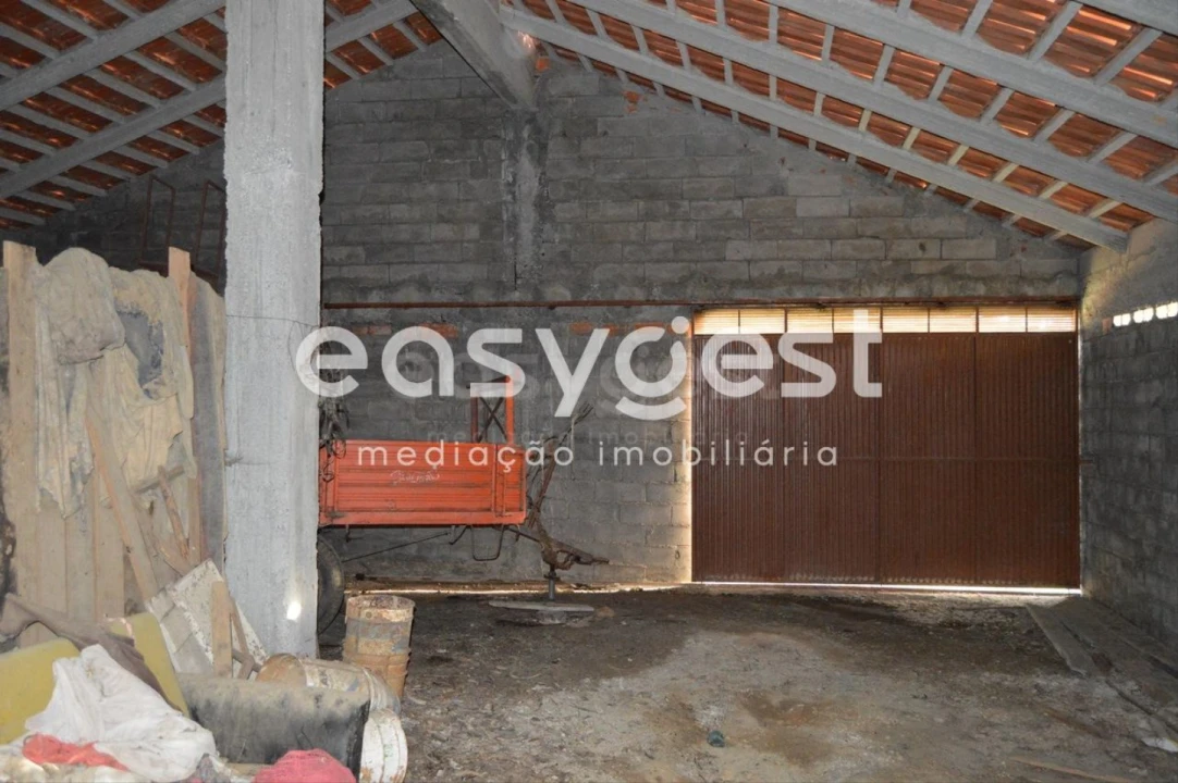 Terreno para Venda em Mação, Penhascoso e Aboboreira Foto 5