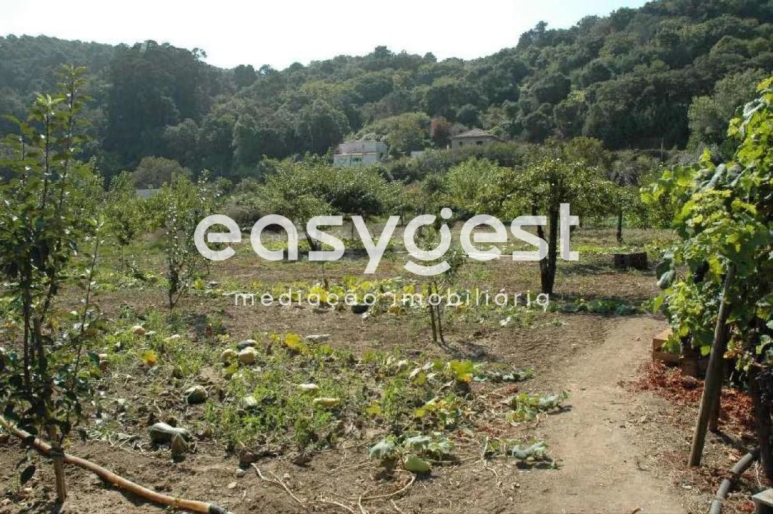 Quinta T4 para Venda em Colares Foto 2