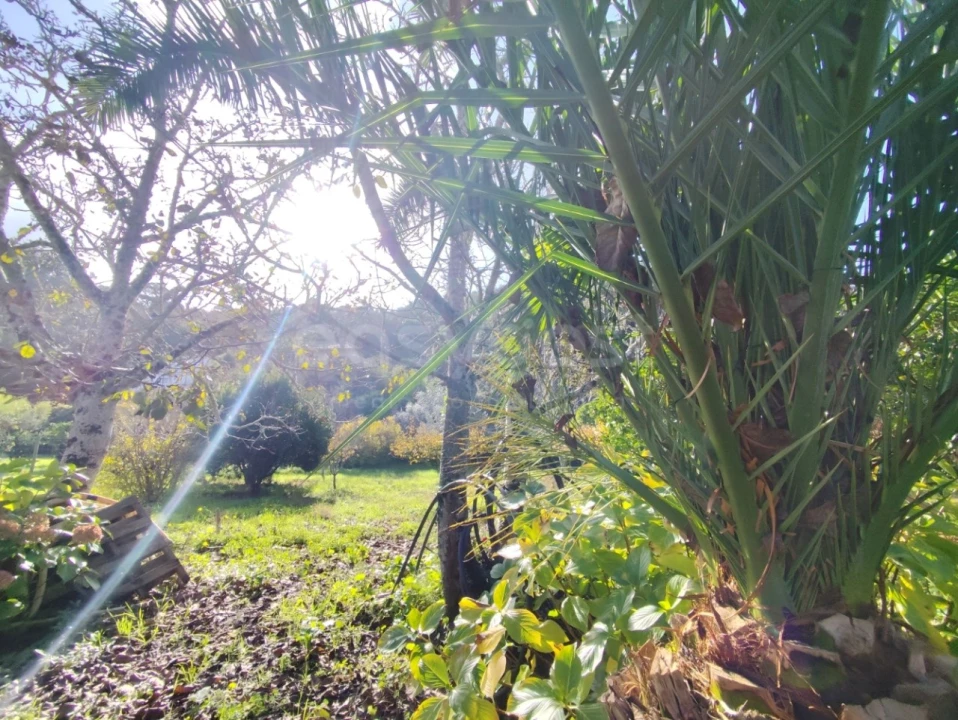 Quinta T4 para Venda em Colares Foto 4