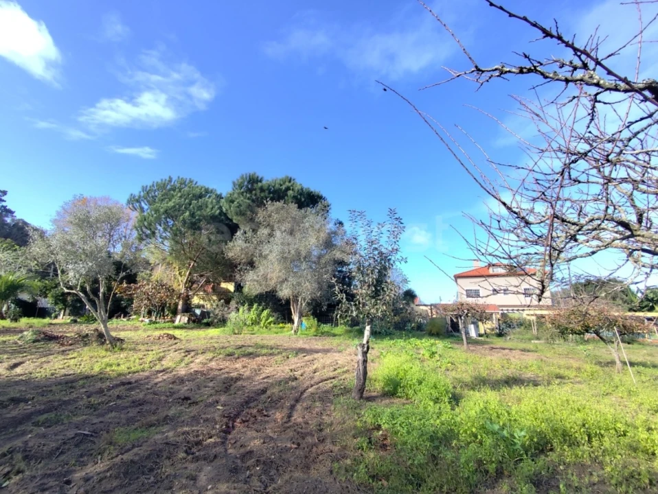 Quinta T4 para Venda em Colares Foto 5