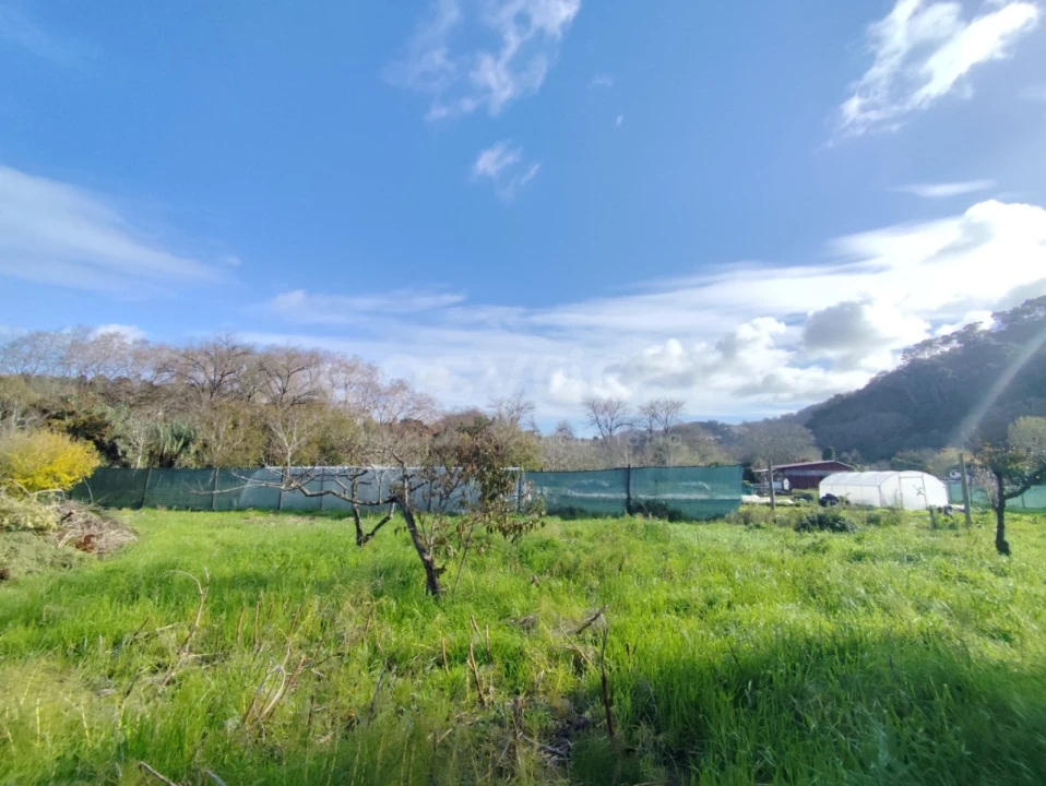 Quinta T4 para Venda em Colares Foto 6