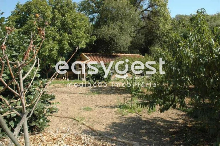 Quinta T4 para Venda em Colares Foto 3