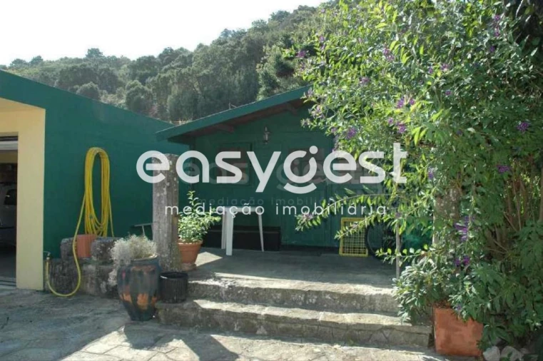 Quinta T4 para Venda em Colares Foto 12