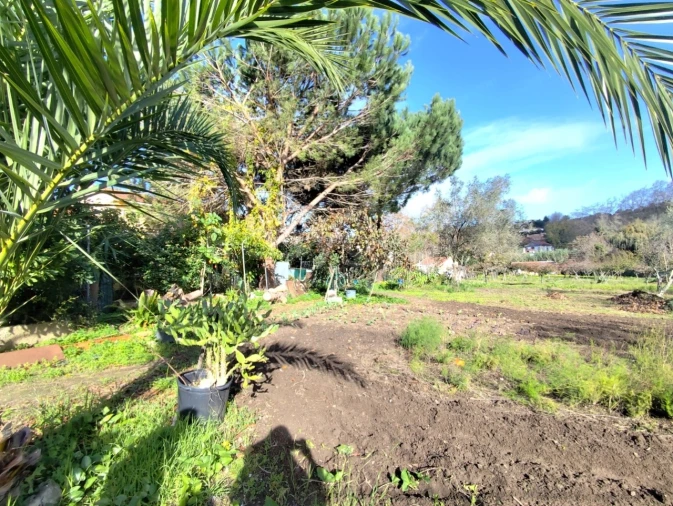 Quinta T4 para Venda em Colares Foto 2