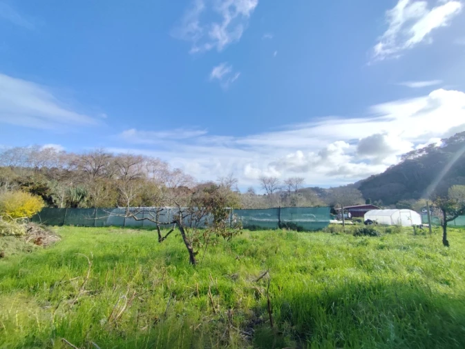 Quinta T4 para Venda em Colares Foto 6