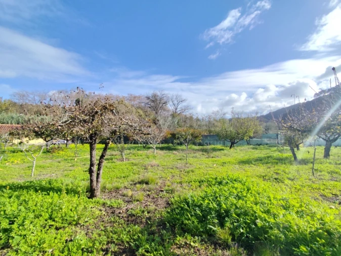 Quinta T4 para Venda em Colares Foto 8