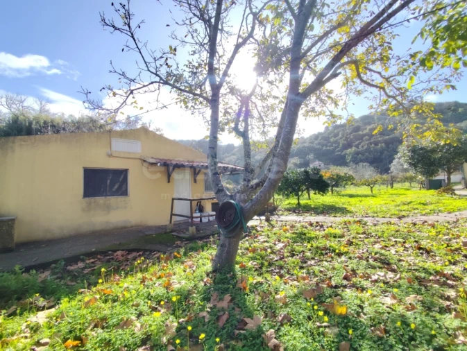 Quinta T4 para Venda em Colares Foto 10