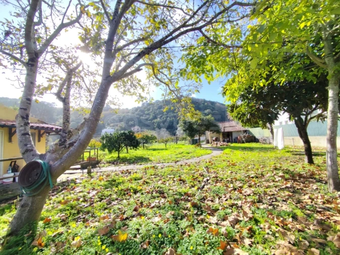 Quinta T4 para Venda em Colares Foto 11