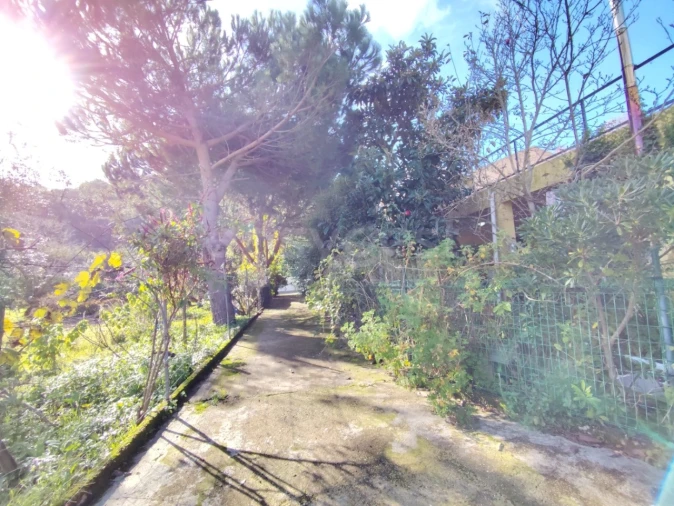 Quinta T4 para Venda em Colares Foto 12