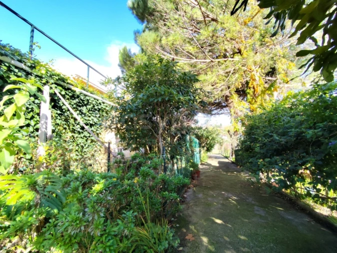 Quinta T4 para Venda em Colares Foto 14