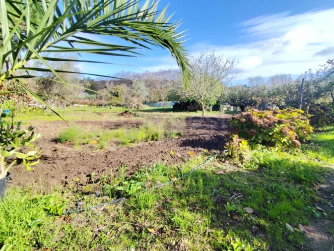 Quinta T4 para Venda em Colares Foto 9