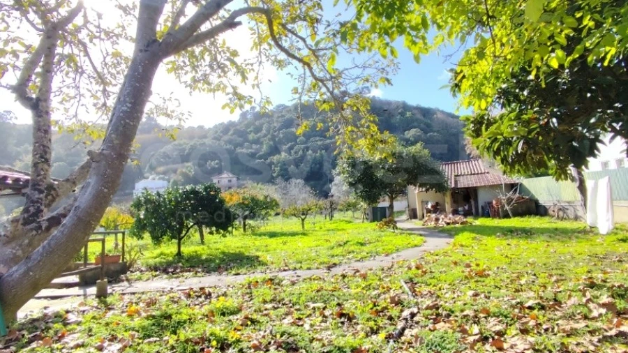 Quinta T4 para Venda em Colares