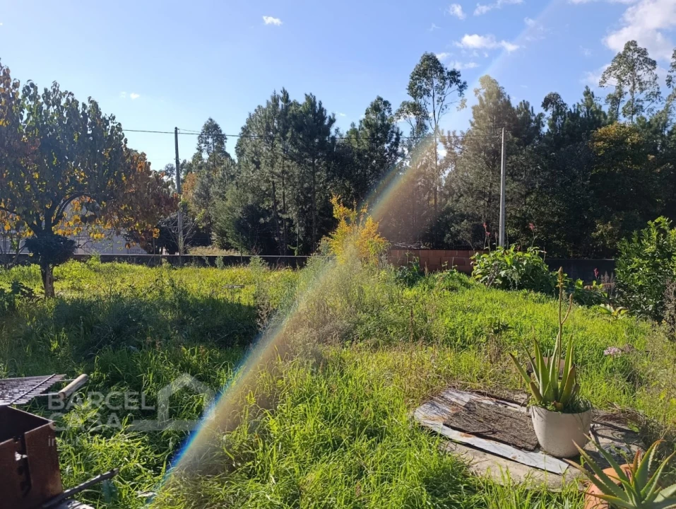 Moradia T2 para Venda em Alheira e Igreja Nova Foto 5