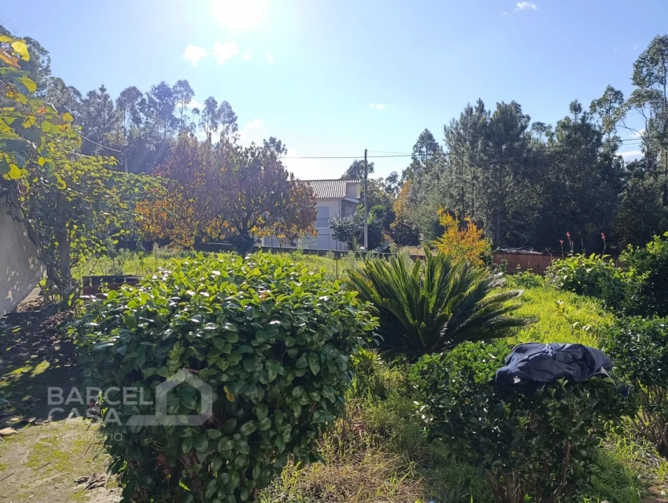 Moradia T2 para Venda em Alheira e Igreja Nova Foto 1