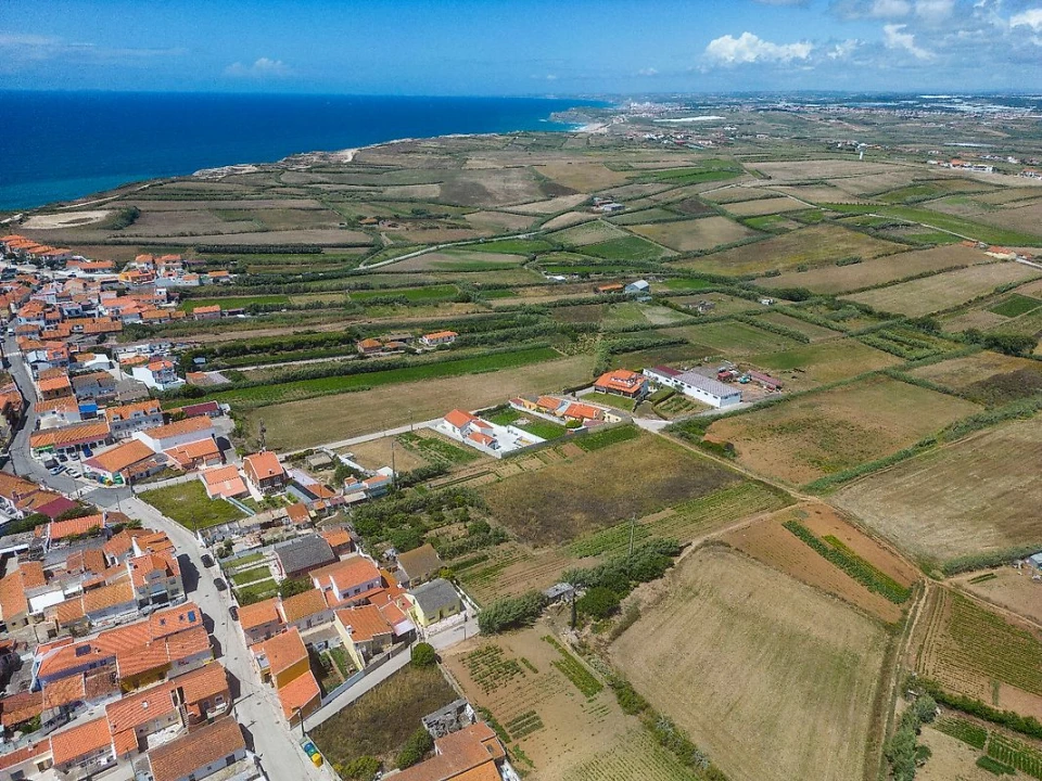 Terreno para Venda em São Pedro da Cadeira Foto 10