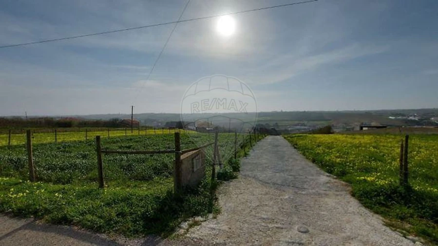 Terreno para Venda em São Pedro da Cadeira Foto 5