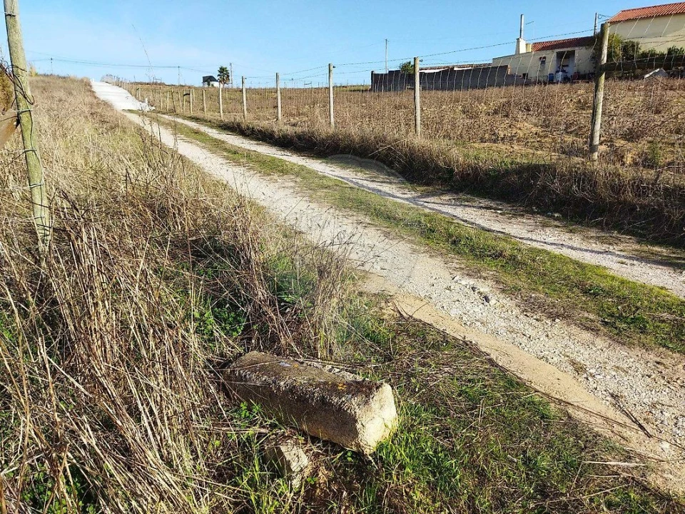Terreno para Venda em São Pedro da Cadeira Foto 4