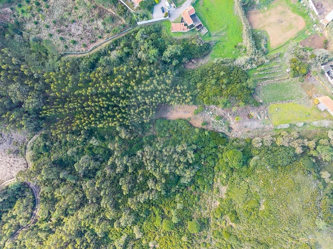 Moradia T6 para Venda em São Martinho do Porto Foto 46