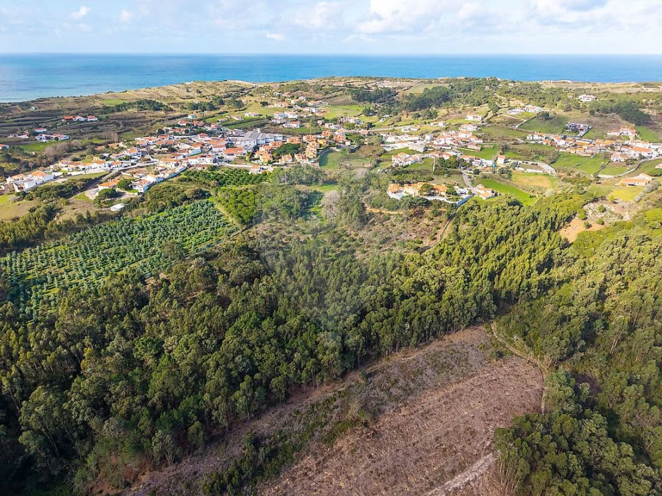 Moradia T6 para Venda em São Martinho do Porto Foto 36