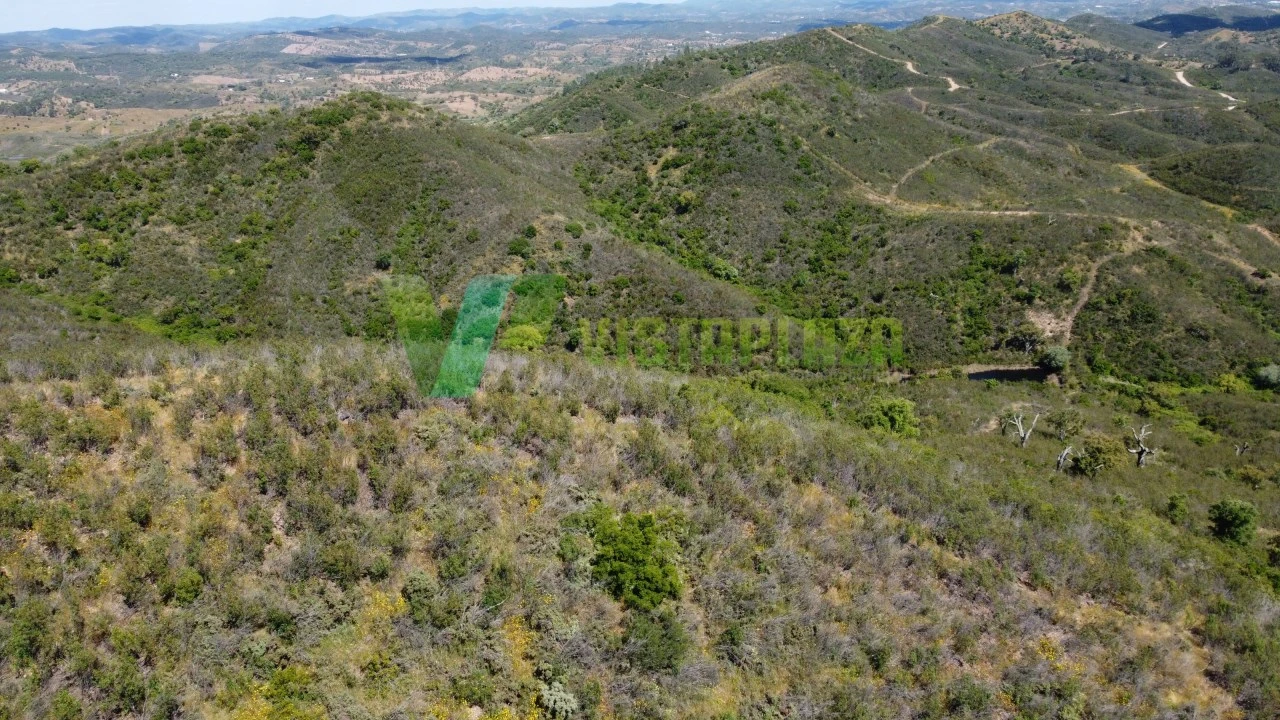Terreno Agricola ou Rústico para Venda em São Marcos da Serra Foto 7