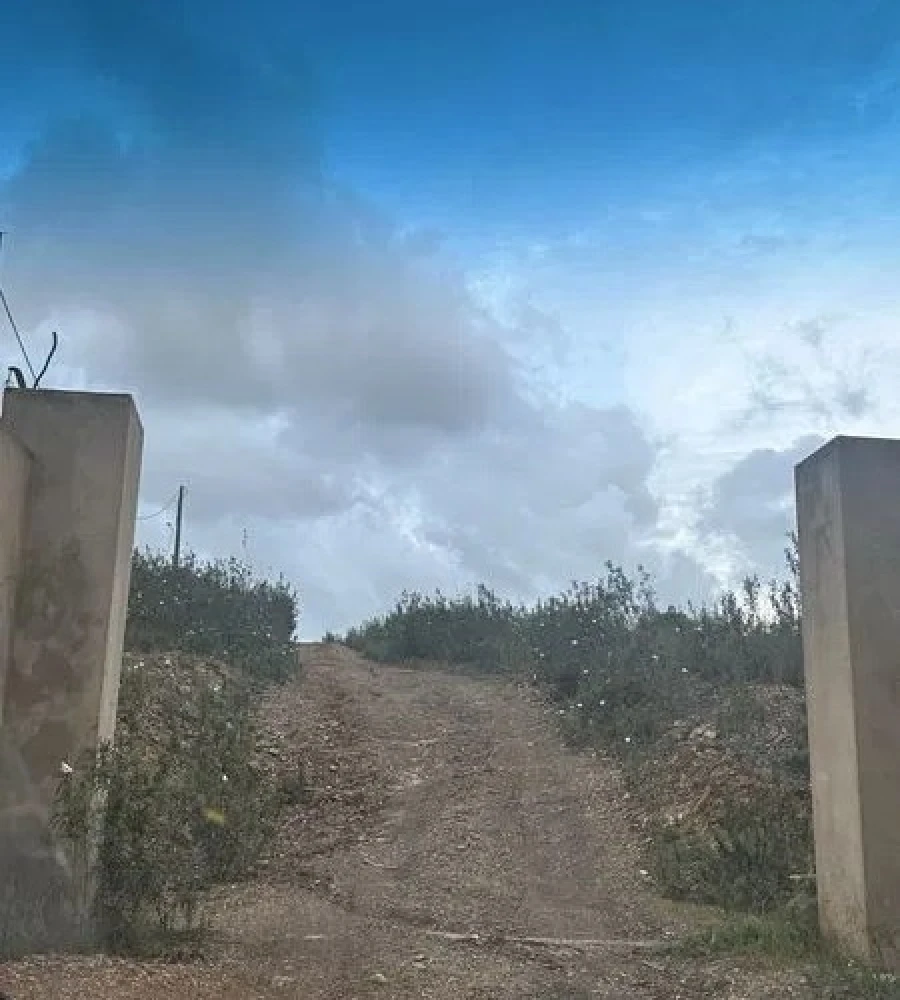 Terreno Agricola ou Rústico para Venda em São Marcos da Serra Foto 12