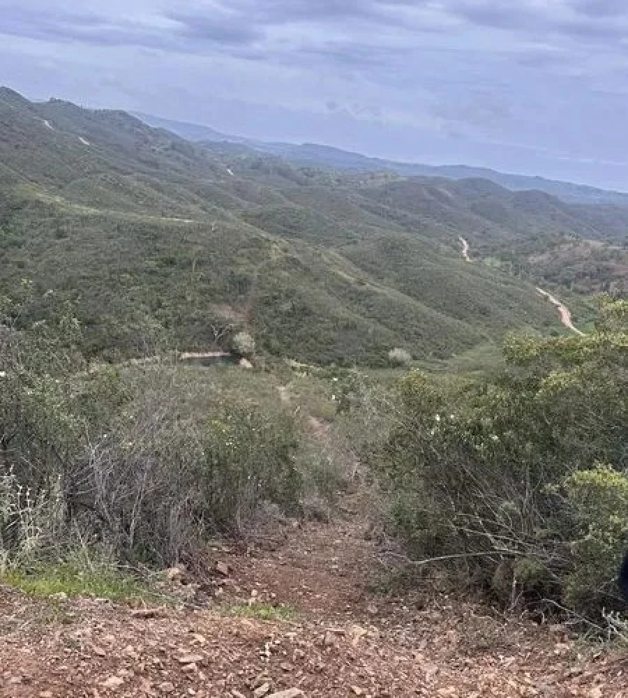Terreno Agricola ou Rústico para Venda em São Marcos da Serra Foto 17