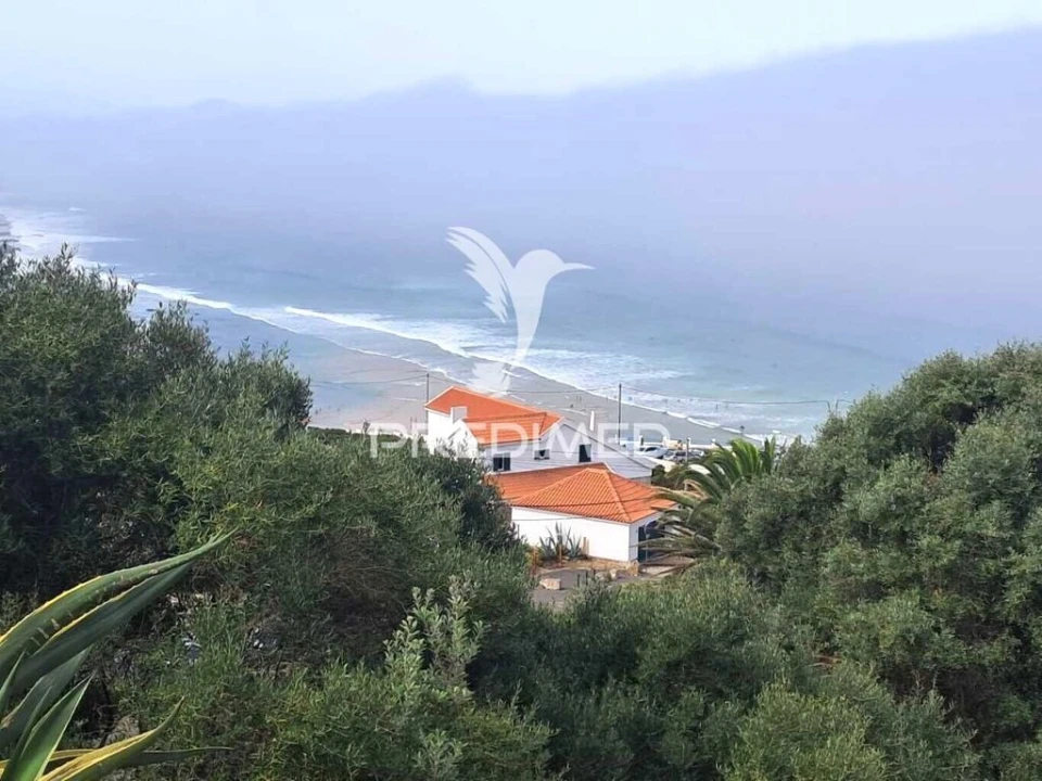 Apartamento T1 para Venda em Santa Maria e São Miguel, São Martinho, São Pedro Penaferrim Foto 3