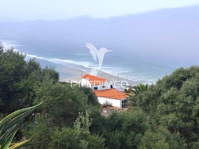 Apartamento T1 para Venda em Santa Maria e São Miguel, São Martinho, São Pedro Penaferrim Foto 3