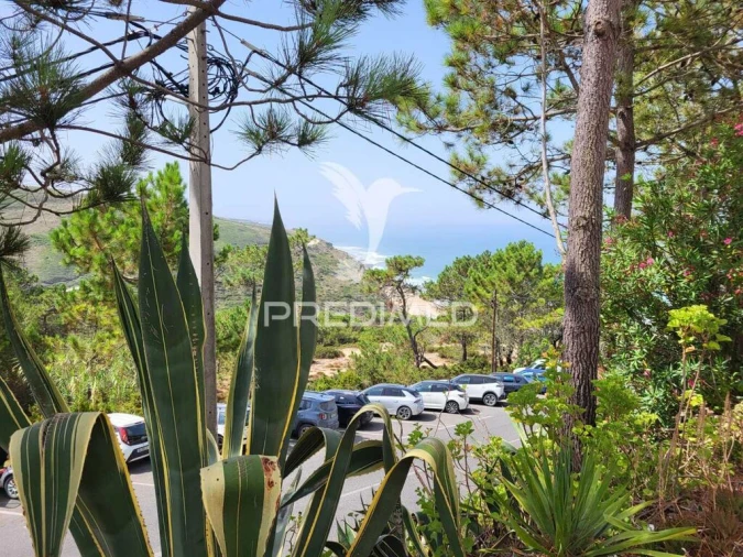 Apartamento T1 para Venda em Santa Maria e São Miguel, São Martinho, São Pedro Penaferrim Foto 10