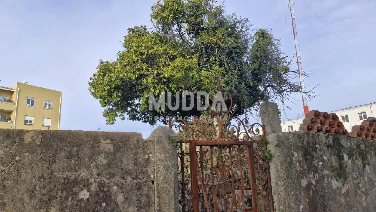 Terreno para Venda em São João da Madeira Foto 9