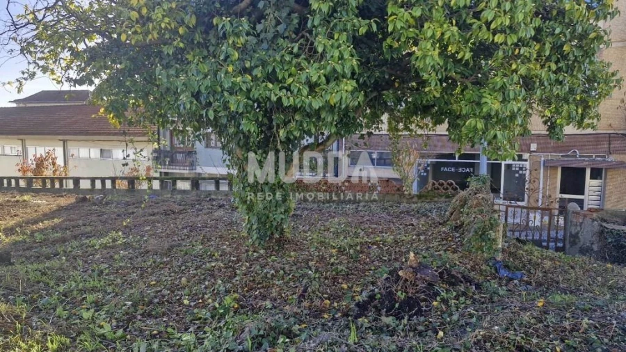 Terreno para Venda em São João da Madeira Foto 12