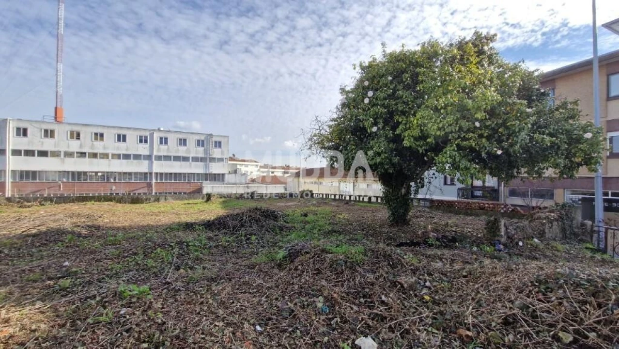 Terreno para Venda em São João da Madeira Foto 6