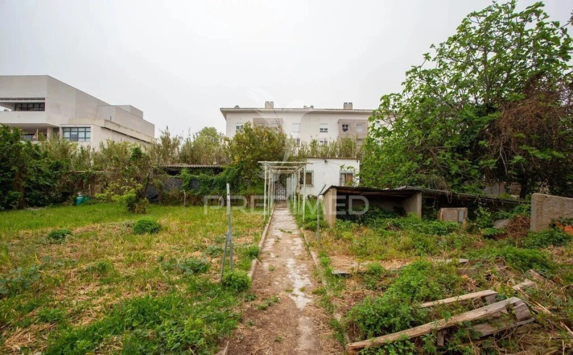 Terreno para Venda em Ajuda Foto 5