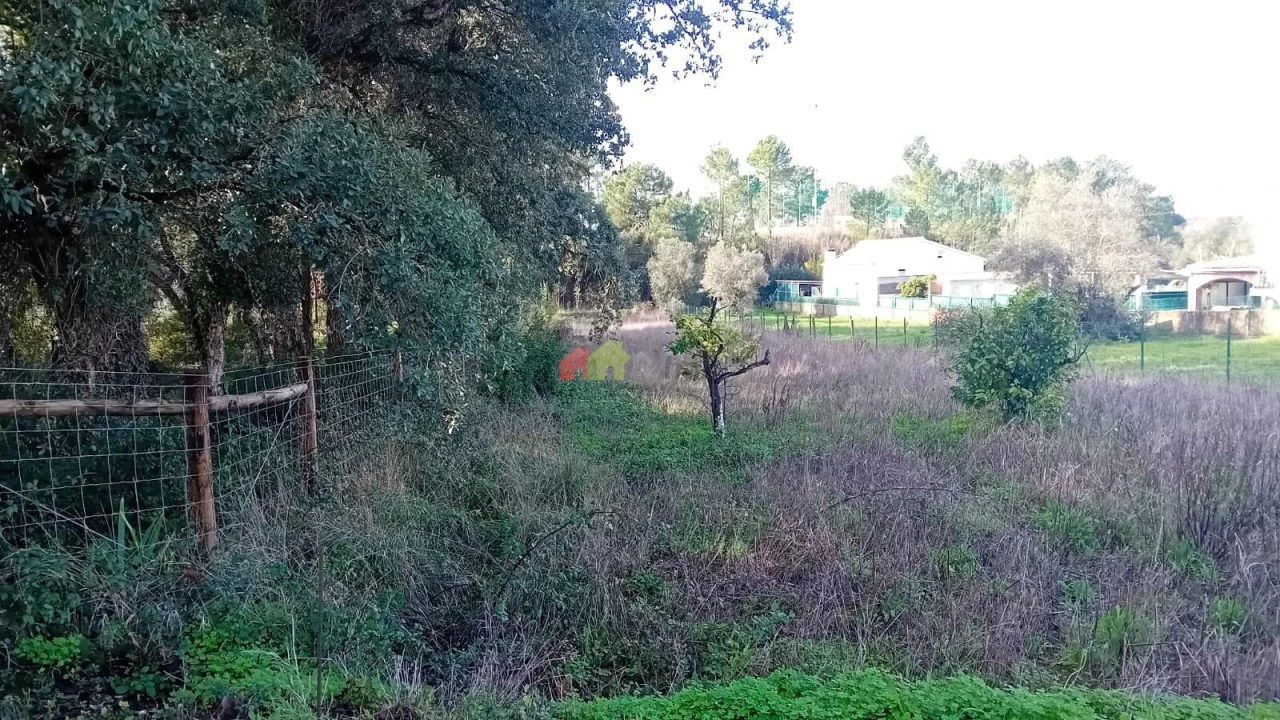 Terreno para Venda em Sesimbra (Castelo) Foto 4