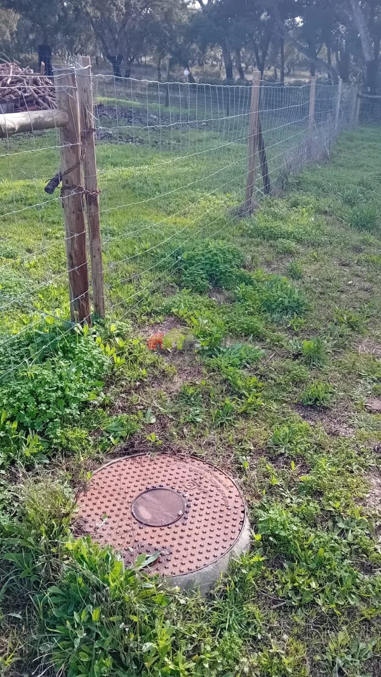 Terreno para Venda em Sesimbra (Castelo) Foto 6