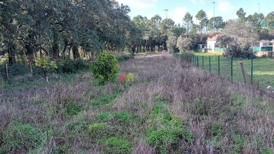 Terreno para Venda em Sesimbra (Castelo) Foto 3