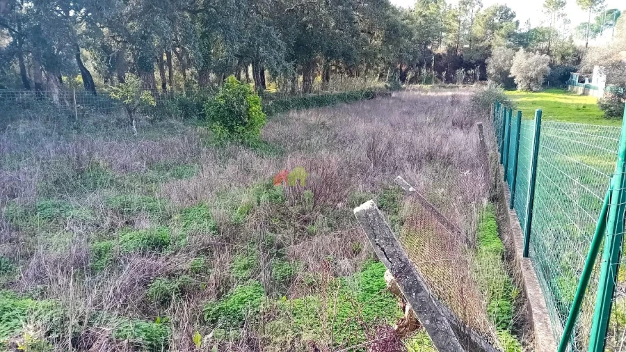Terreno para Venda em Sesimbra (Castelo)