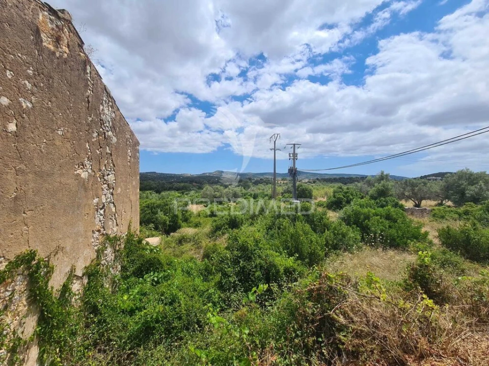 Quinta T2 para Venda em Loule (São Clemente) Foto 7