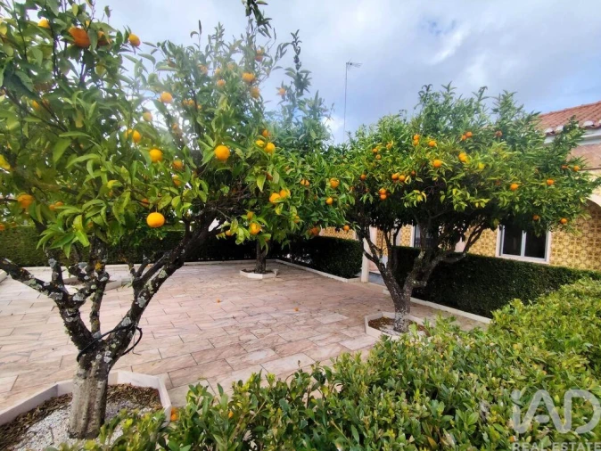 Moradia T3 para Venda em Rio de Moinhos Foto 5