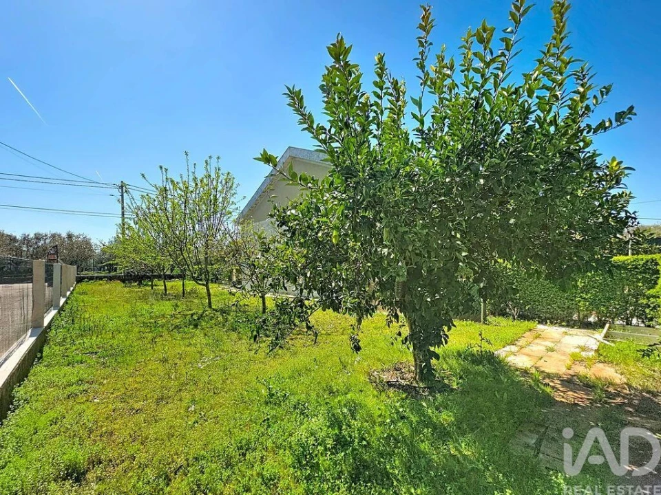 Moradia T3 para Venda em Rio de Moinhos Foto 7