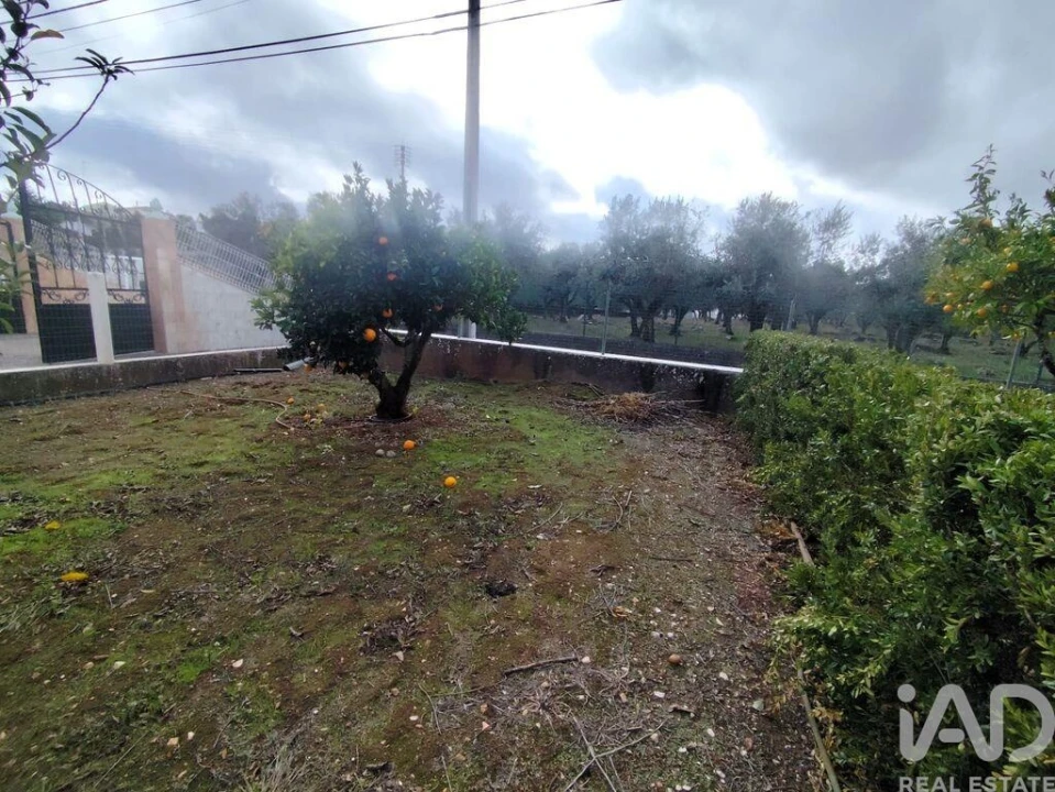 Moradia T3 para Venda em Rio de Moinhos Foto 32