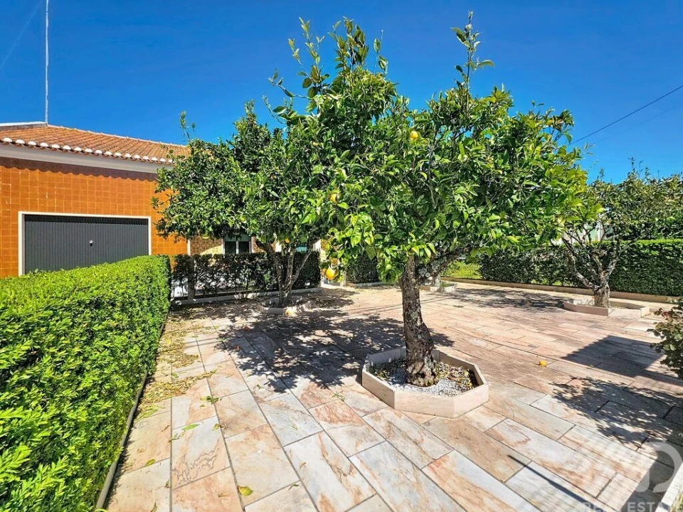 Moradia T3 para Venda em Rio de Moinhos Foto 5