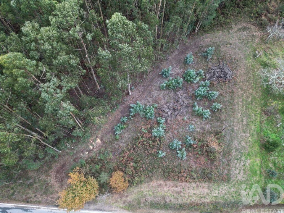 Terreno para Venda em Cornes Foto 3
