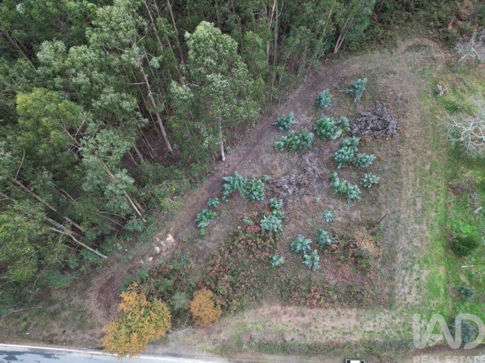 Terreno para Venda em Cornes Foto 2