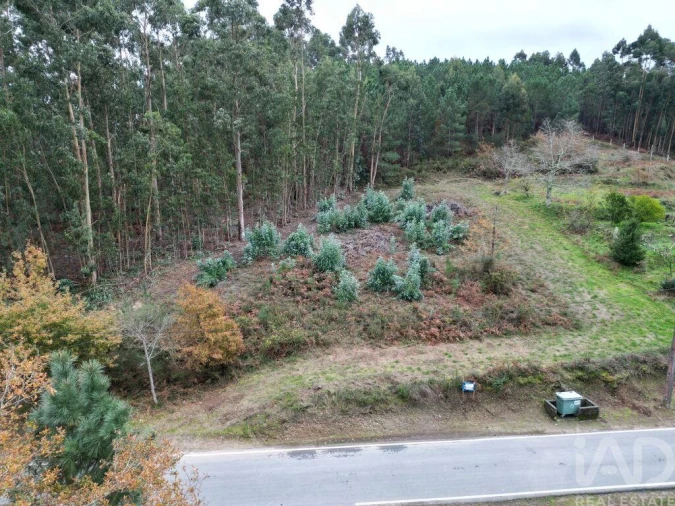 Terreno para Venda em Cornes