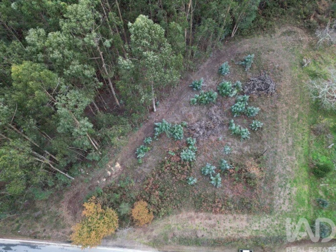 Terreno para Venda em Cornes Foto 2