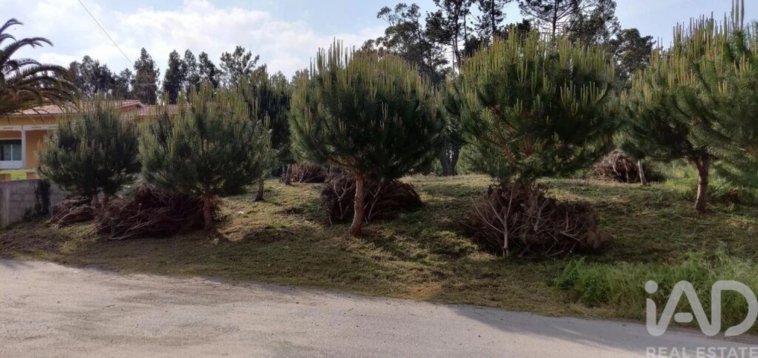 Terreno para Venda em Monte Real e Carvide Foto 1