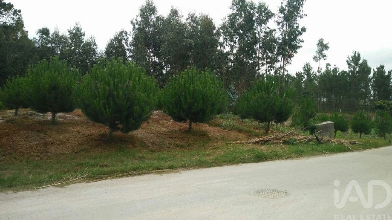 Terreno para Venda em Monte Real e Carvide Foto 7