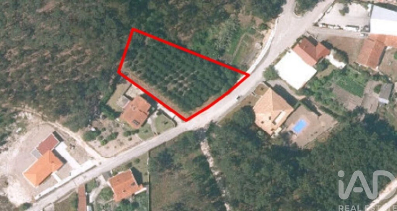 Terreno para Venda em Monte Real e Carvide Foto 9